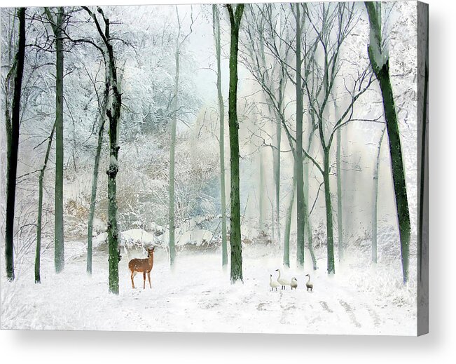 Winter Acrylic Print featuring the photograph Winter Woodland by Jessica Jenney