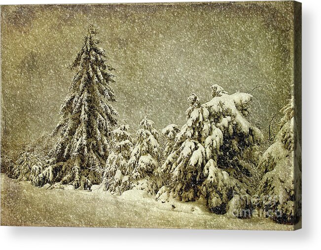 Snow Acrylic Print featuring the photograph Winter's Wrath by Lois Bryan