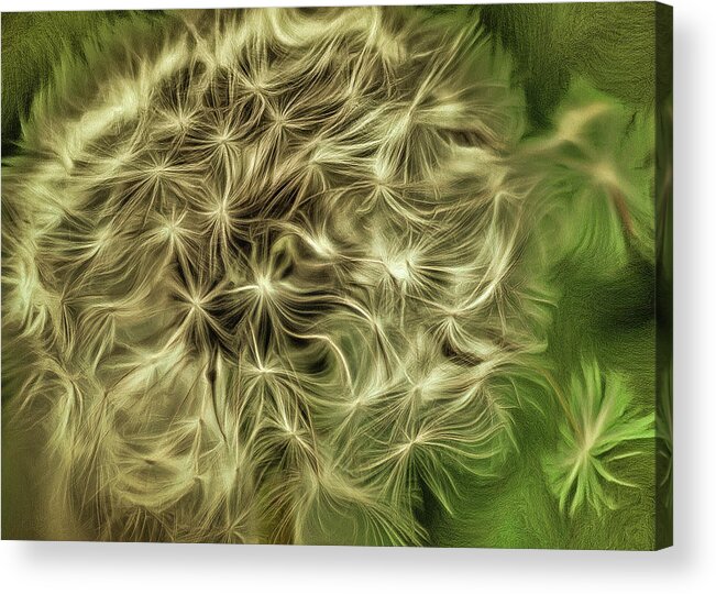 Flower Acrylic Print featuring the mixed media Wishies by Trish Tritz