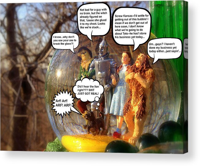 Wizard Of Oz Acrylic Print featuring the photograph Wizard Of Oz Humor IV by Aurelio Zucco