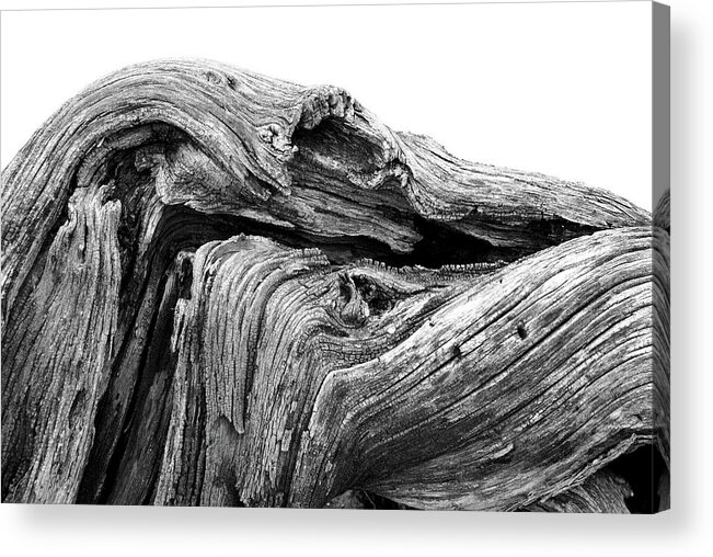 Wood Acrylic Print featuring the photograph Wood #1256 by Raymond Magnani