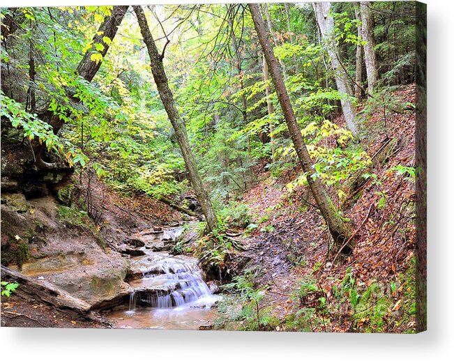Brook Acrylic Print featuring the photograph Babbling Brook by Terri Gostola