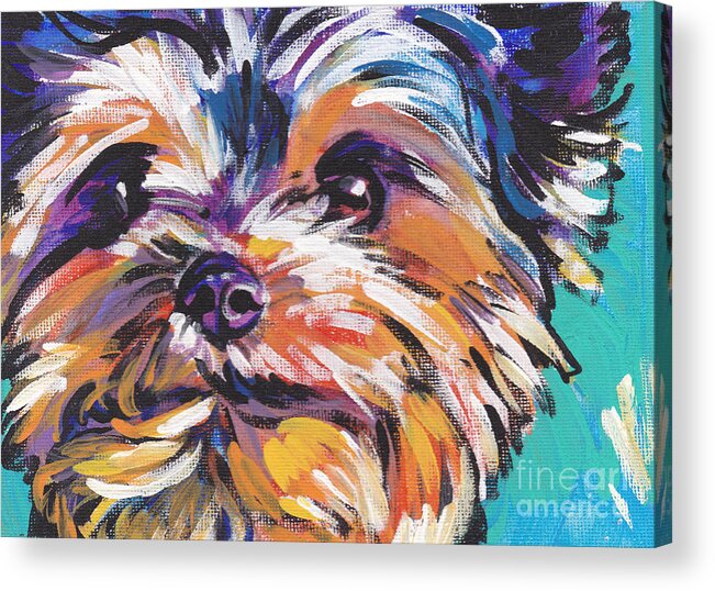 Yorkshire Terrier Acrylic Print featuring the painting Yay Yorkie by Lea S