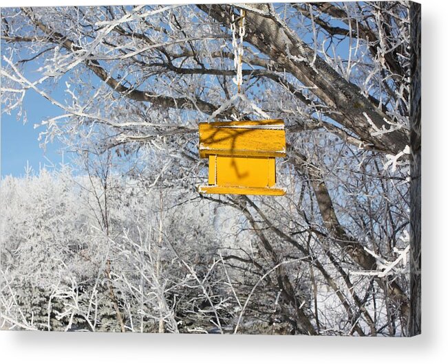 Bird House Acrylic Print featuring the photograph Yellow Bird House by Pat Purdy