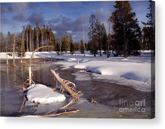 Usa Acrylic Print featuring the photograph Yellowstone National Park by Thomas R Fletcher