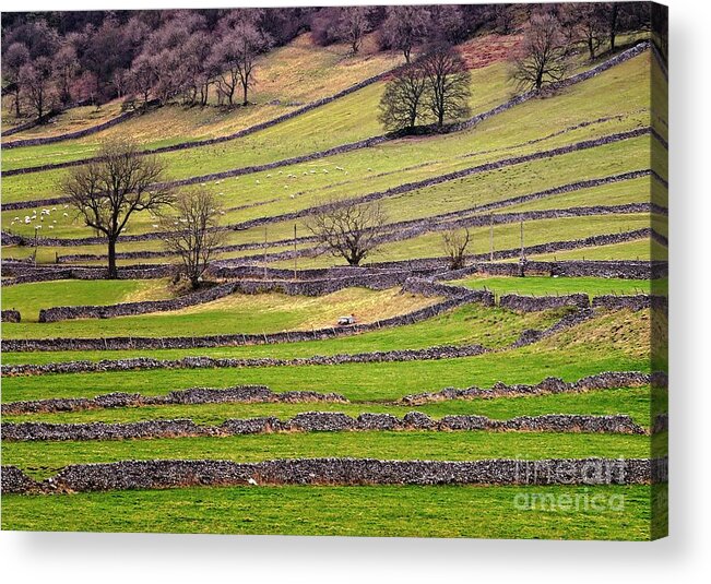 Yorkshire Dales Acrylic Print featuring the photograph Yorkshire Dales Stone Walls by Martyn Arnold