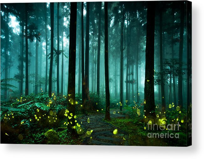 Through Acrylic Print featuring the photograph Firefly by Htu