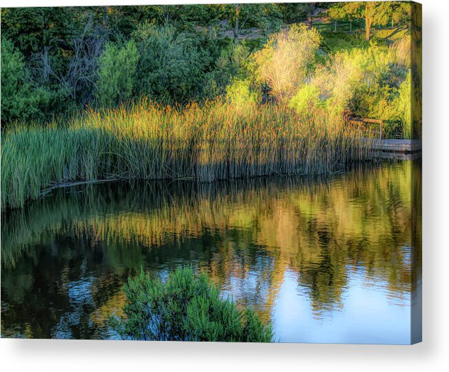 Lake Acrylic Print featuring the photograph Golden Hour #1 by Alison Frank