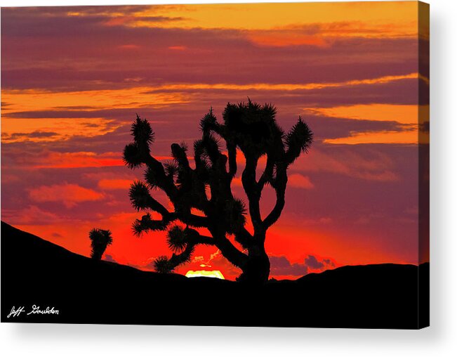 Arid Climate Acrylic Print featuring the photograph Joshua Tree at Sunset by Jeff Goulden