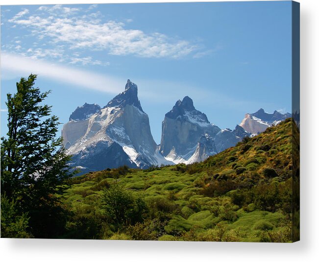 Majestic Acrylic Print featuring the photograph Torres Del Paigne Mountains Chile #1 by Doug88888
