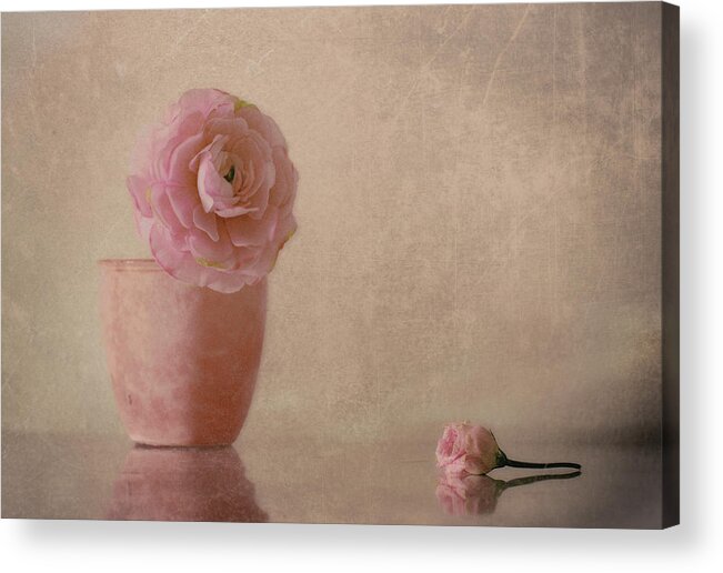 Pink Acrylic Print featuring the photograph Untitled #1 by Elena Arjona
