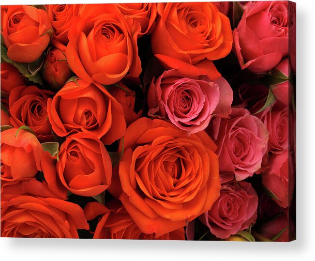Orange Color Acrylic Print featuring the photograph A Close-up Of A Bouquet Of Flowers #12 by Nicholas Eveleigh