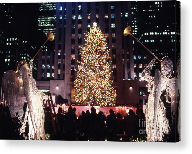 1980-1989 Acrylic Print featuring the photograph Christmas Tree At Rockefeller Center #14 by Bettmann