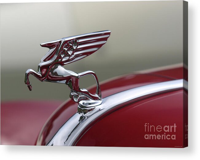 Vintage Acrylic Print featuring the photograph 1940s Flying Horse Hood Ornament by Lucie Collins