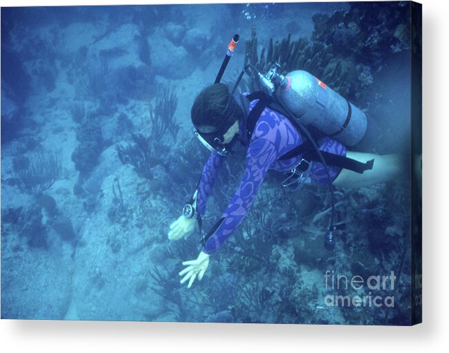 Grass Family Acrylic Print featuring the photograph Living Under The Sea In Tektite 2 #2 by Bettmann