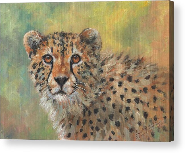 Cheetah Acrylic Print featuring the painting Portrait of a Cheetah #2 by David Stribbling