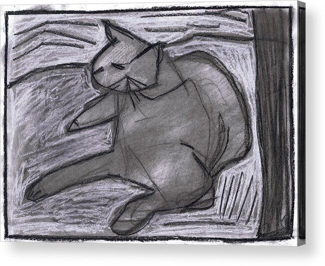 Cat Acrylic Print featuring the drawing Cat #4 by Edgeworth Johnstone