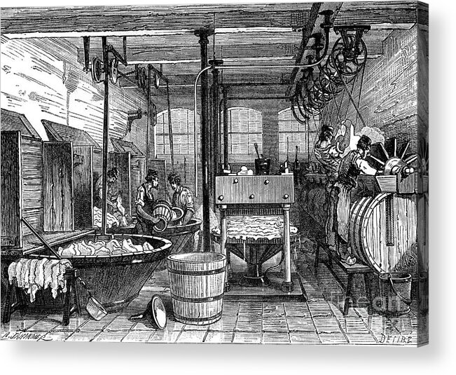 1800s Acrylic Print featuring the photograph Leather Tanning Industry #8 by Collection Abecasis/science Photo Library