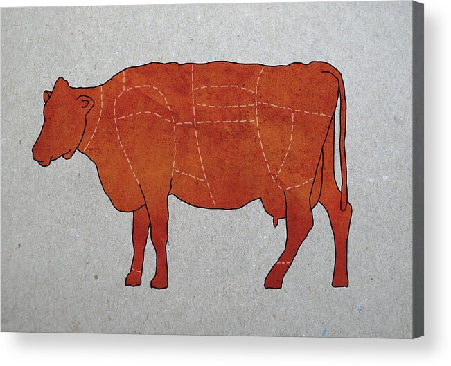 Animal Themes Acrylic Print featuring the digital art A Butchers Diagram Of A Cow by Malte Mueller