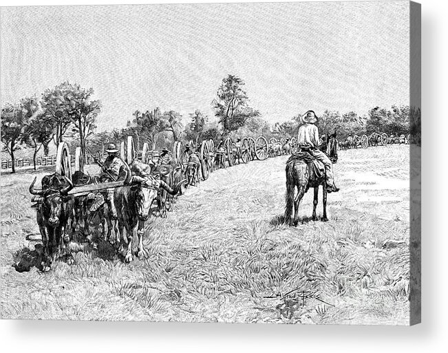 Engraving Acrylic Print featuring the drawing A Convoy Of Wagons, South America, 1895 by Print Collector
