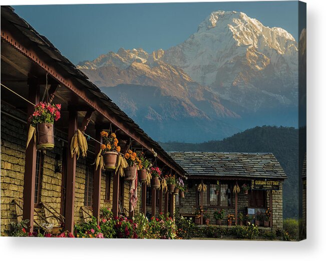 Himalayas Acrylic Print featuring the photograph A glowing fall day in the Himalayas by Leslie Struxness