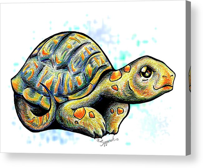 Nature Acrylic Print featuring the drawing Adorable Tortoise II by Sipporah Art and Illustration