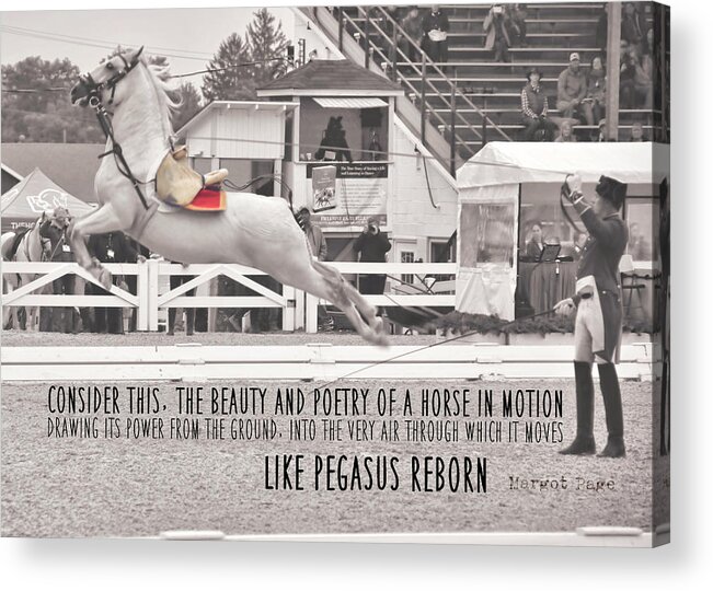 Above Acrylic Print featuring the photograph AIRS ABOVE THE GROUND quote by Dressage Design