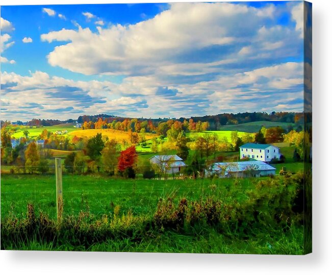  Acrylic Print featuring the photograph Amish Farm Beauty by Jack Wilson