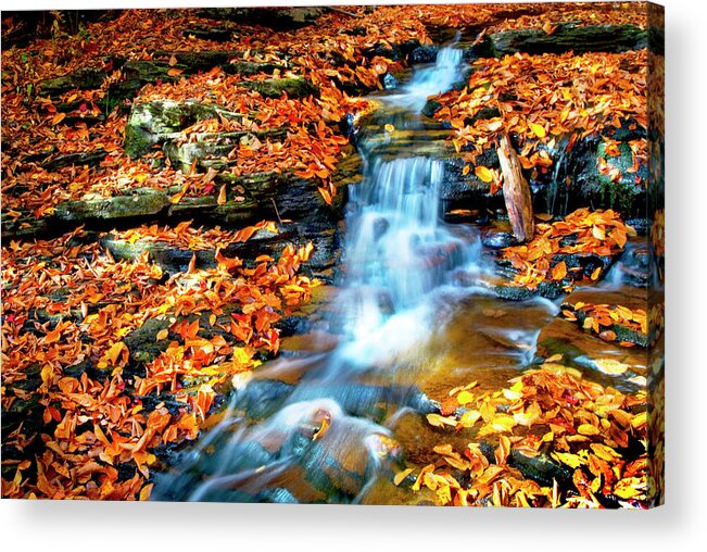 D1-l-2906 Acrylic Print featuring the photograph Autumn Falls - 2906 by Paul W Faust - Impressions of Light
