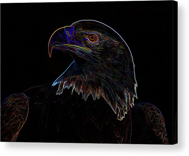 Bald Eagle Acrylic Print featuring the digital art Bald Eagle Digital art by Flees Photos
