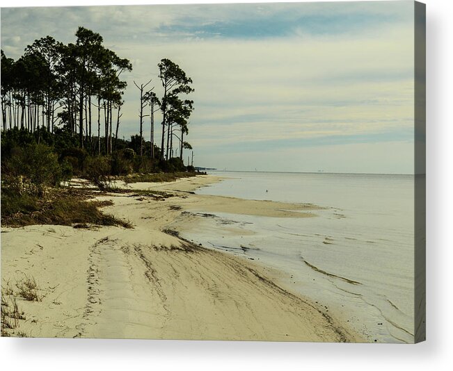 Beach Acrylic Print featuring the photograph Beach and Trees by Maggy Marsh