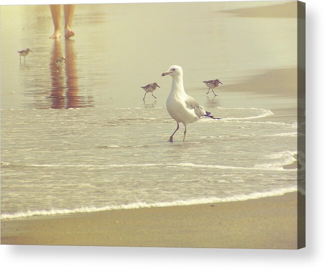 A Acrylic Print featuring the photograph Beach Walk by JAMART Photography