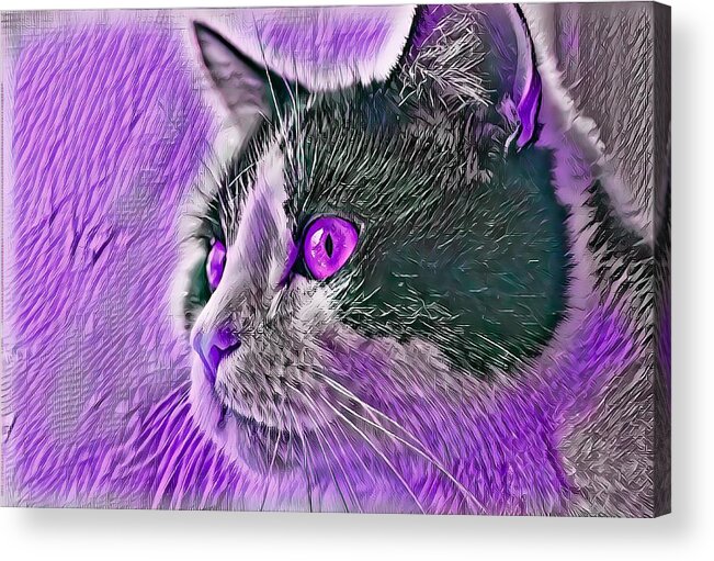Purple Acrylic Print featuring the digital art Big Head Tuxedo Cat Purple Eyes by Don Northup