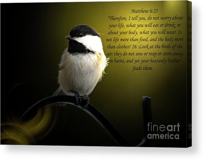 Scripture Acrylic Print featuring the photograph Birds of the Air by Sandra J's