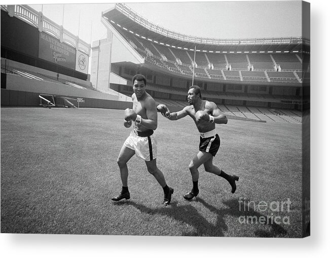 People Acrylic Print featuring the photograph Boxer Ken Norton Chases Muhammad Ali by Bettmann