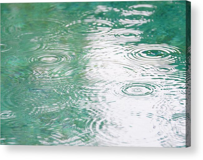 Environmental Conservation Acrylic Print featuring the photograph Brazil, Bahia, Trancoso, Raindrops On by Jamie Grill Photography