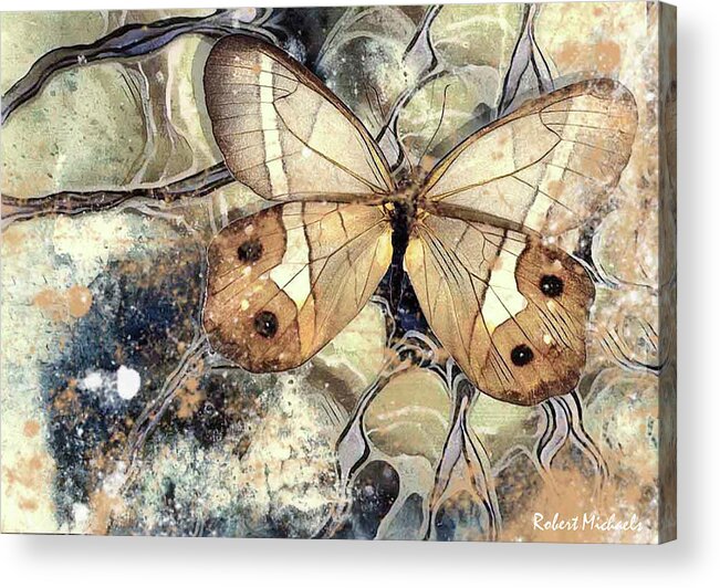 Butterfly Acrylic Print featuring the photograph Brown Wings by Robert Michaels