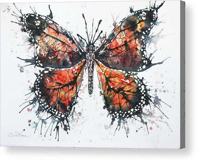 Butterfly Acrylic Print featuring the painting Butterfly Study I by John Silver