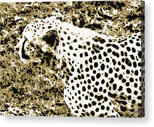 Cheetah Acrylic Print featuring the digital art Camo Cheetah by Gary Olsen-Hasek