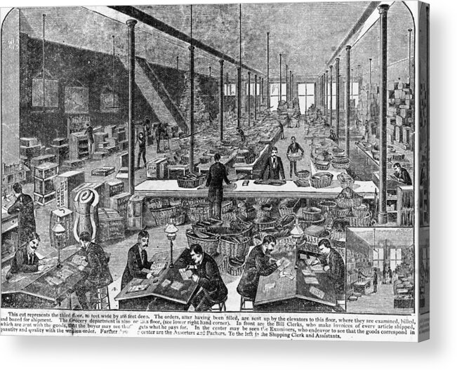 1880-1889 Acrylic Print featuring the photograph Clerks by Fotosearch