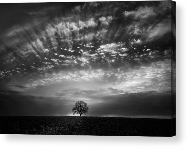 Cloud Tree Land Sunrise Acrylic Print featuring the photograph Cloud Parade Overhead by Little7