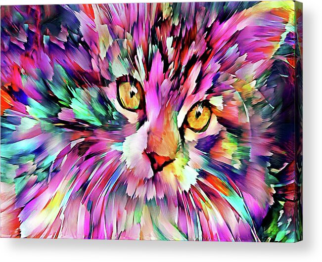 Maine Coon Acrylic Print featuring the digital art Colorful Maine Coon Kitten by Peggy Collins