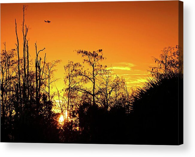 Airplane Acrylic Print featuring the photograph Cypress Swamp Sunset 3 by Steve DaPonte