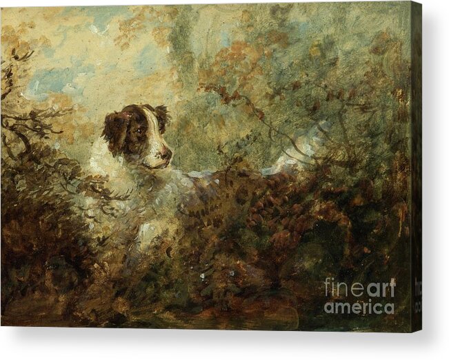 Animal Acrylic Print featuring the painting Dog by Charles Henry Schwanfelder