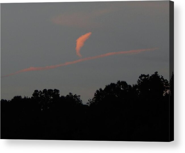 Sky Acrylic Print featuring the photograph Dolphin in the Sky by Karen Stansberry