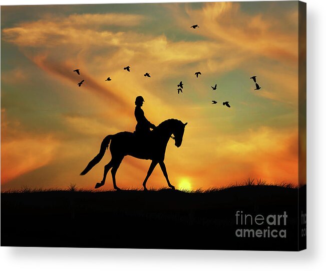 Dressage Acrylic Print featuring the photograph Dressage Rider and Horse at Sunset With Birds by Stephanie Laird