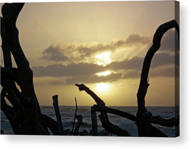 Sky Acrylic Print featuring the photograph Driftwood sunset by Martin Smith