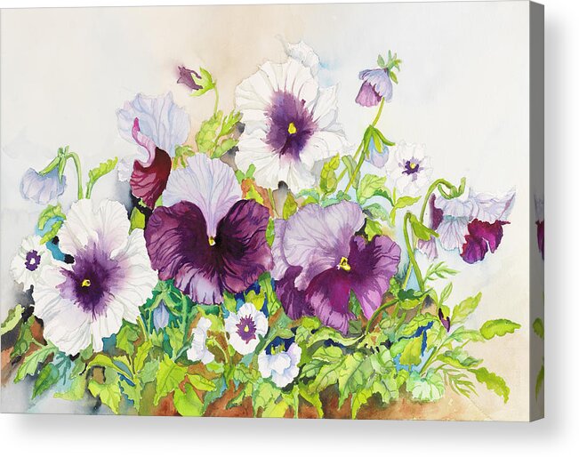 Pansies Acrylic Print featuring the painting Early Pansies by Joanne Porter