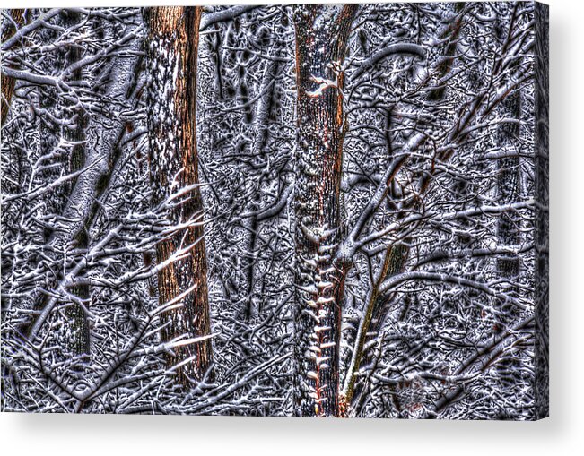 Winter Acrylic Print featuring the photograph Enchanted Forest Left by Don Wolf