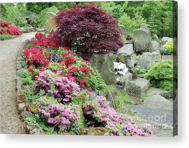 Garden Acrylic Print featuring the photograph Established Rock Garden by Mike Comb/science Photo Library